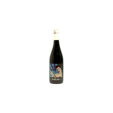 IGP Val de Loire - Pin up - Grolleau noir - Domaine de la Coche