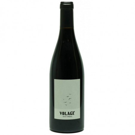 AOC Saumur Champigny - Volage - Les Clos Maurice - Biodynamie