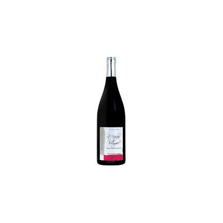 AOC Saint Nicolas de Bourgueil - Domaine de la Lande - Bio