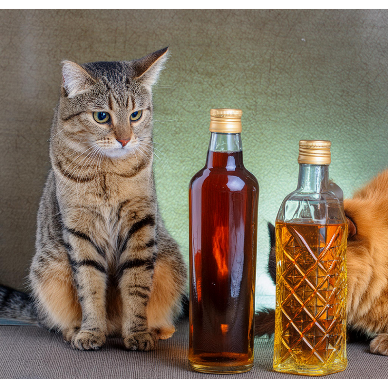 copy of copy of RHUM