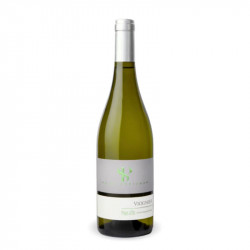 Saint Preignan Viognier