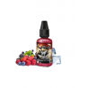 Concentré Ragnarok 30ml
