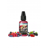 Concentré Valkyrie 30ml